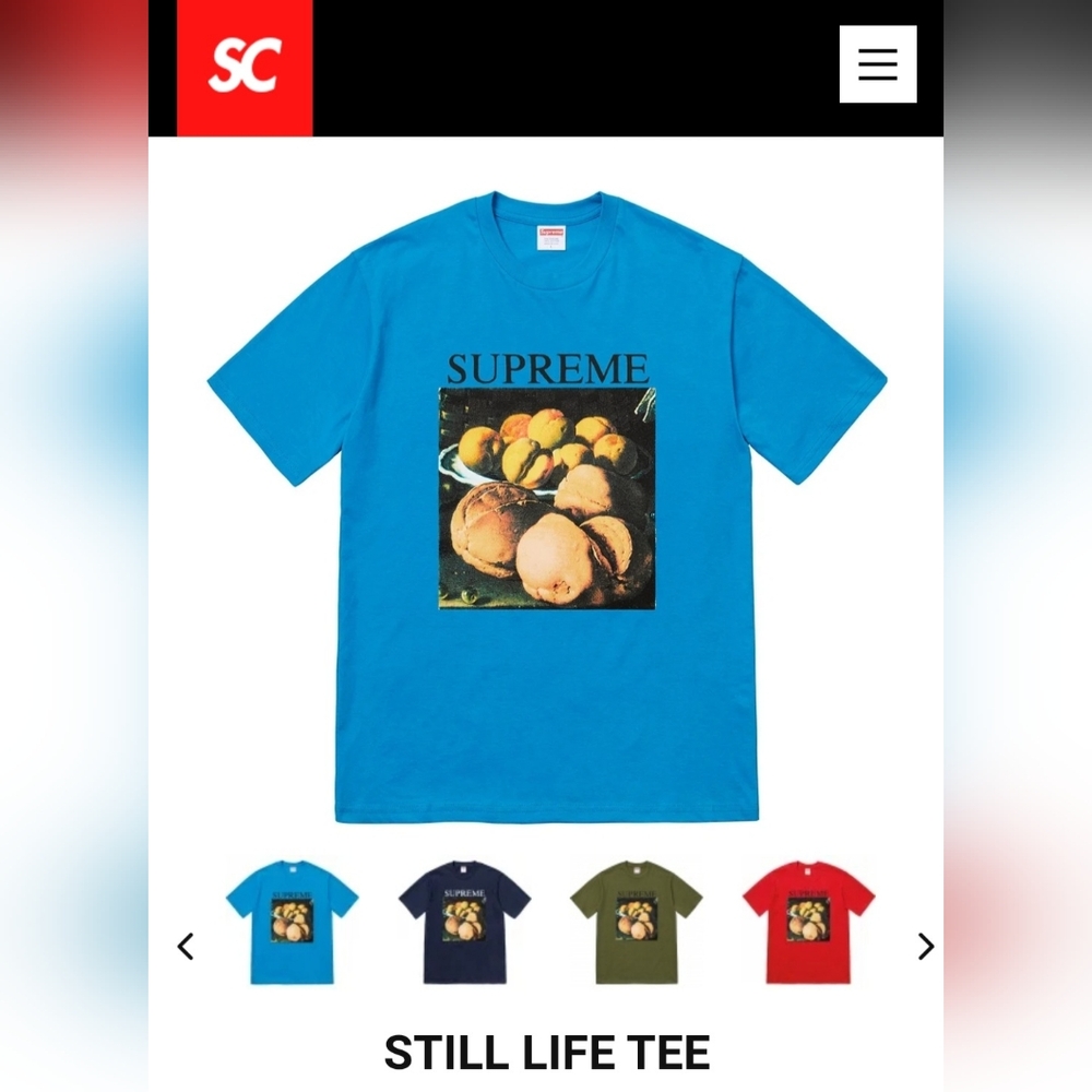 Supreme Still Life Tee *FW18*
